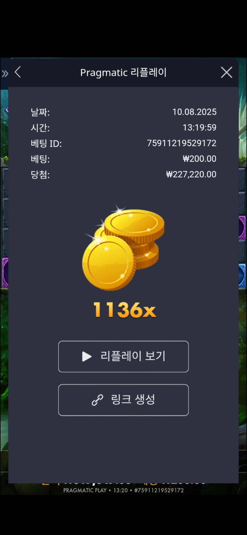 멀린1136배