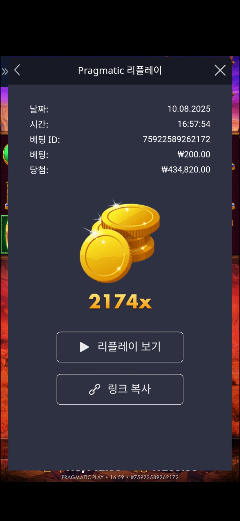 버메가 2174배