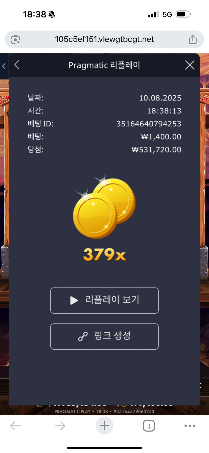 봄 보난자 379배