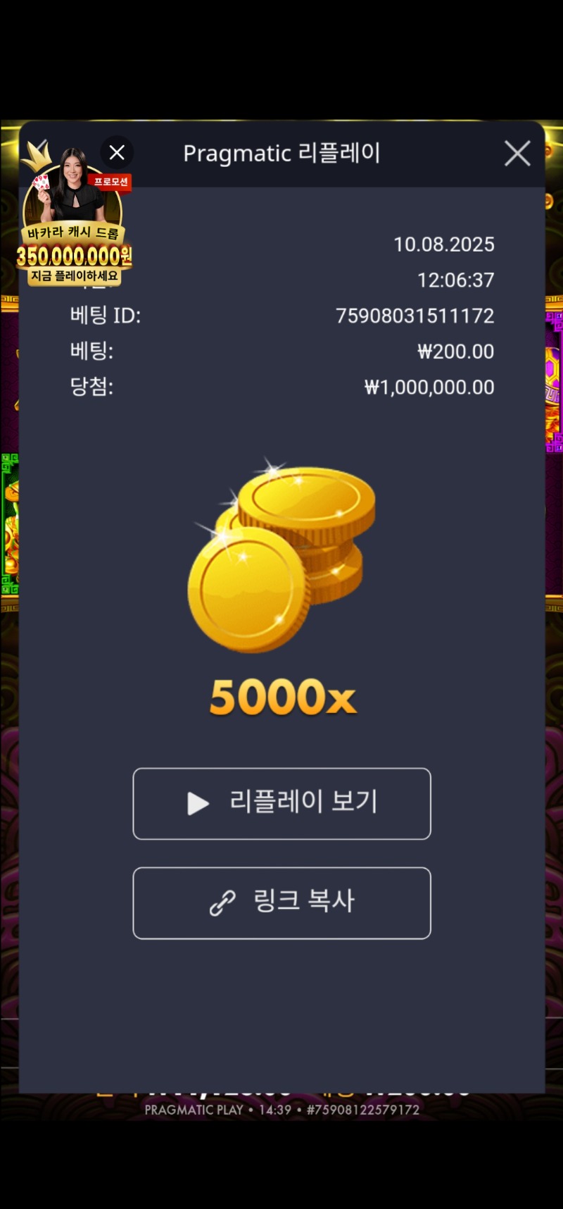 아래 수정 토라메 5000배