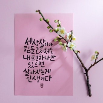 굿박 ~팩폭 9가지