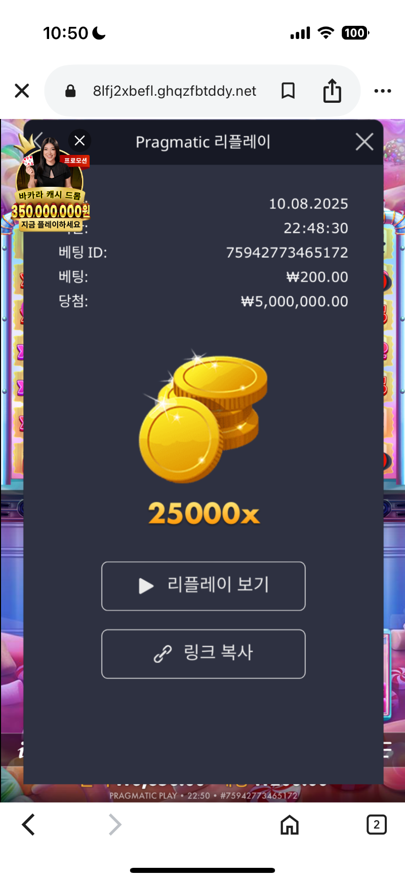 로얄슈가25000배