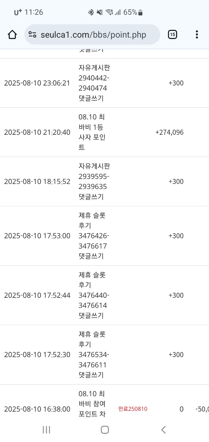 최바비 사자적중