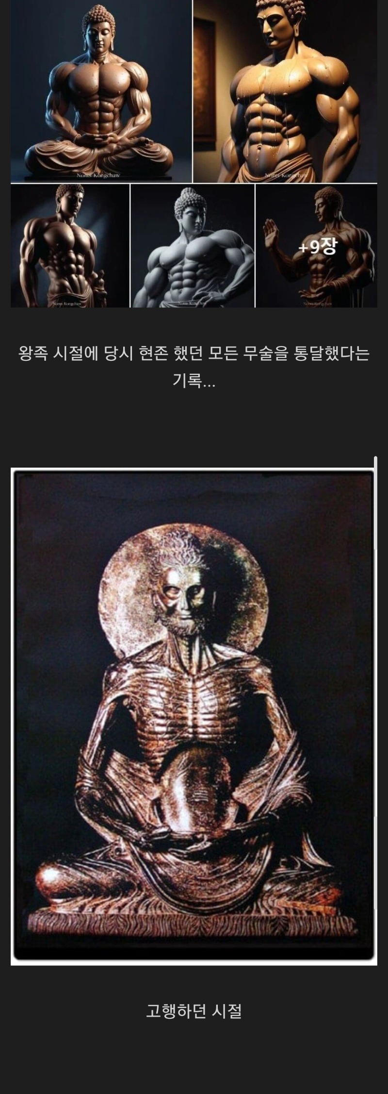 석가모니 젊을때 체형 예상도