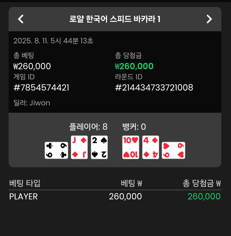 바카라 플레이어 승