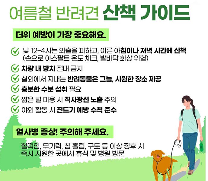 여름강아지산책가이드