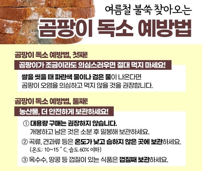 여름곰팡이예방