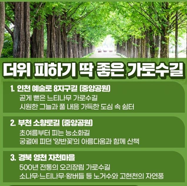 더위피하기좋은곳