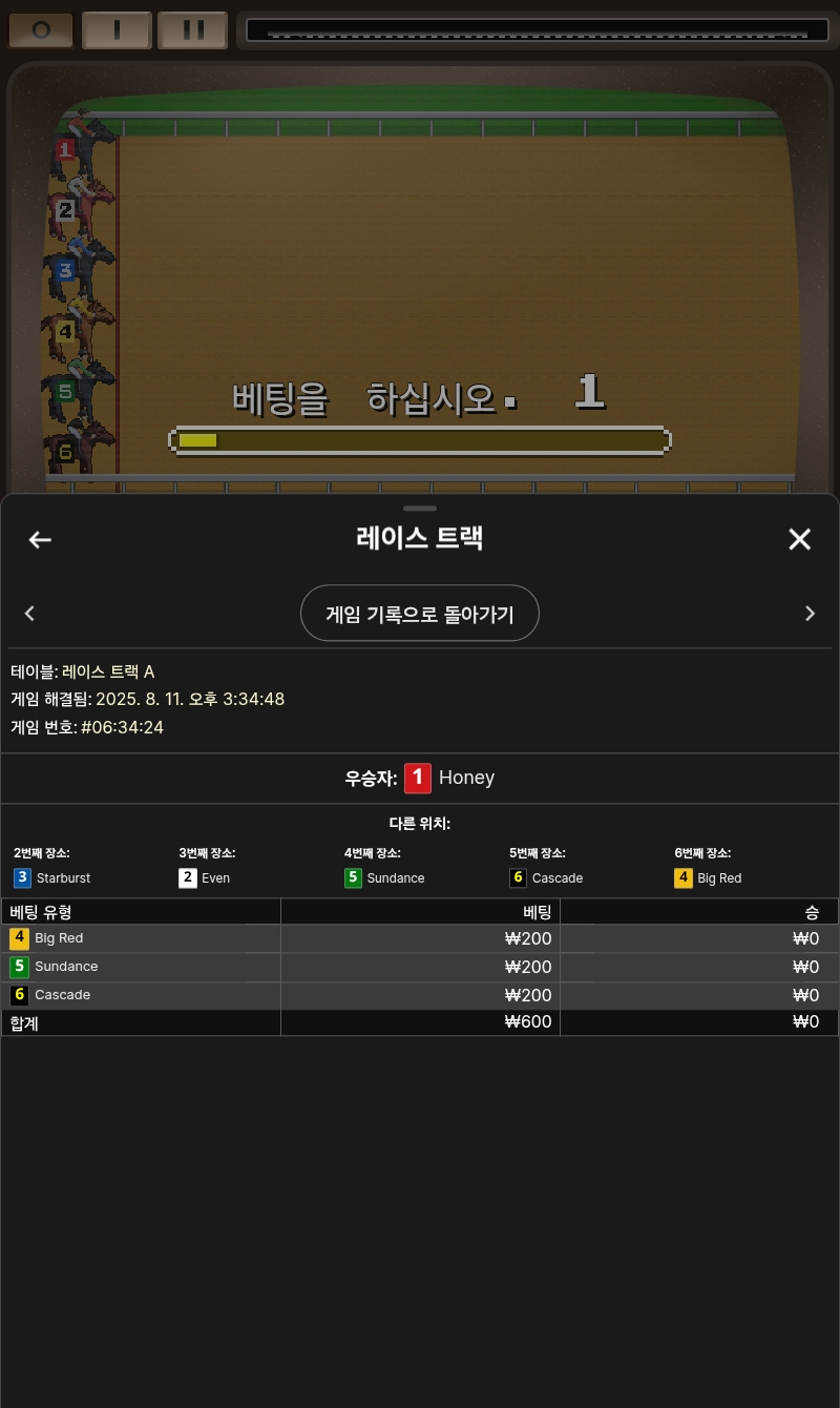 래이스트랙