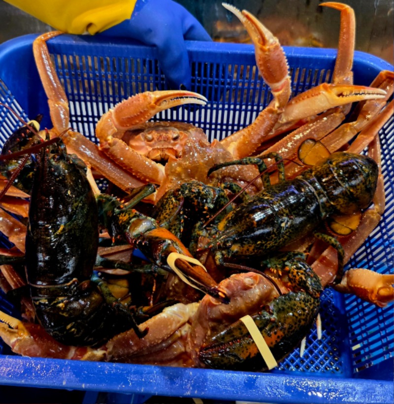 오늘메뉴는~~