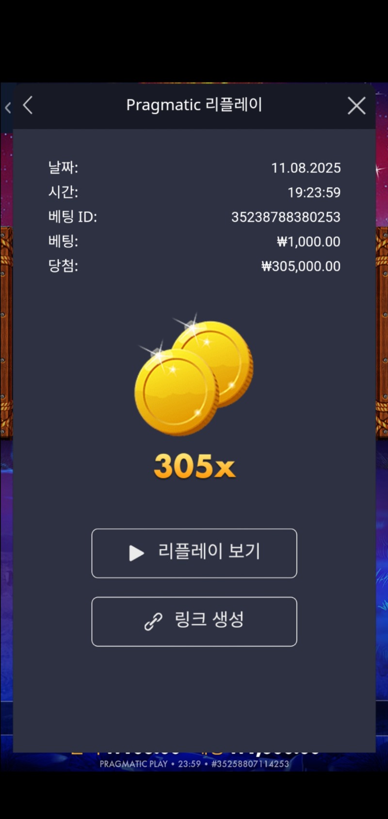 버팔로 킹 305배