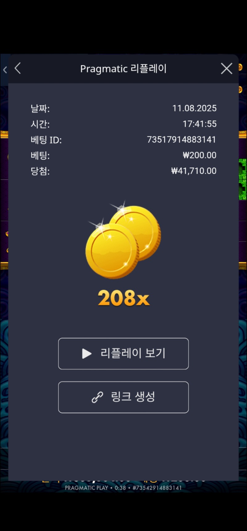 오라메 208