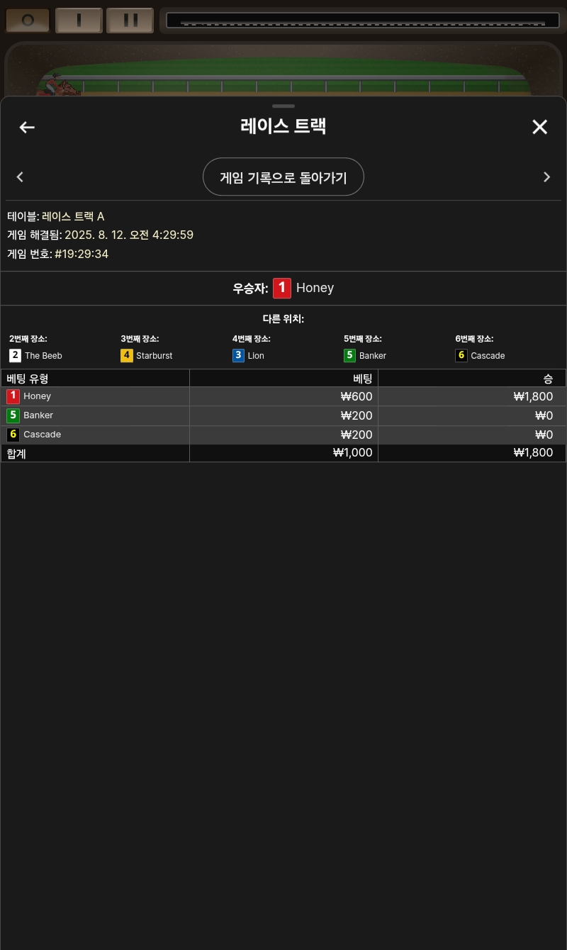 래이스트랙