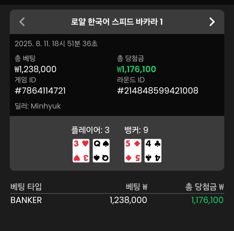 바카라 뱅커 승