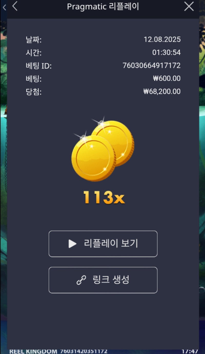 빅배스113