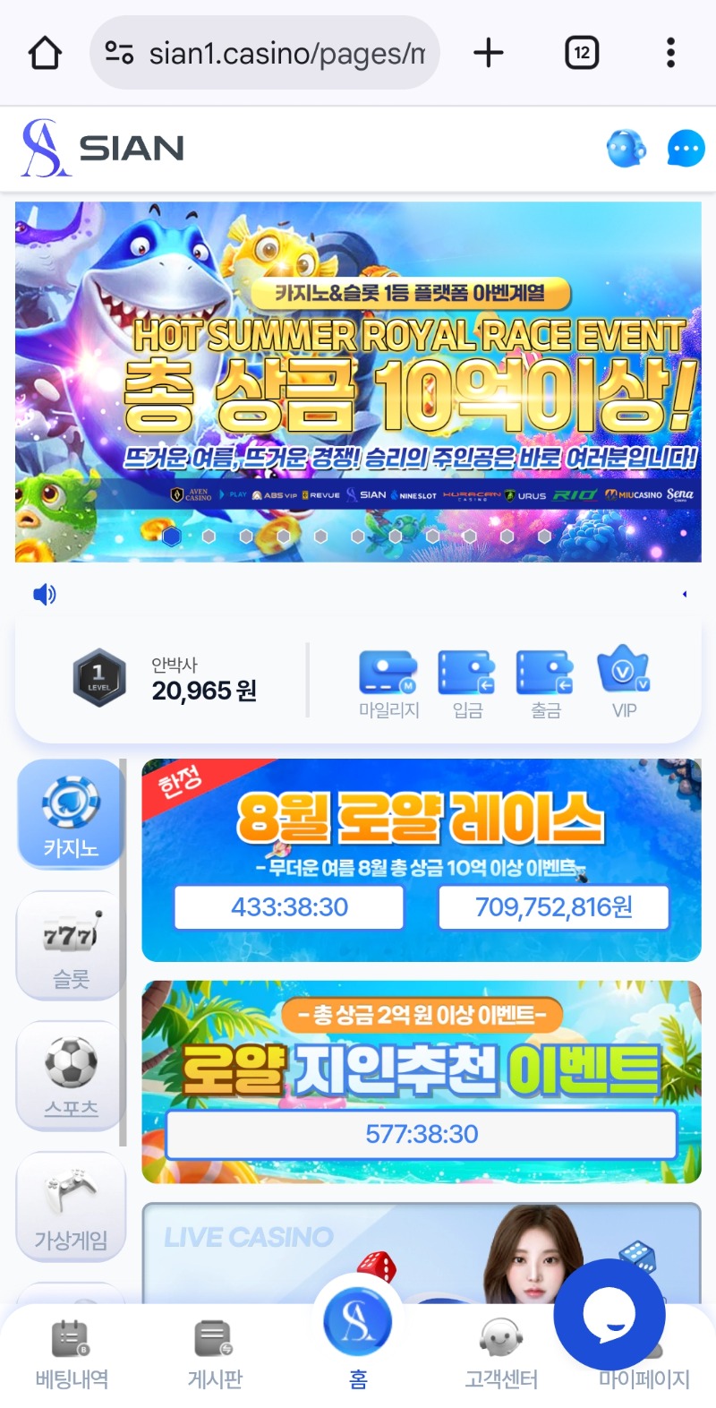 미니형난 시안포인트 ㄱㅅㄱㅅ