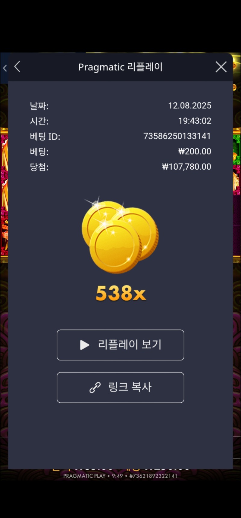 토라메 538