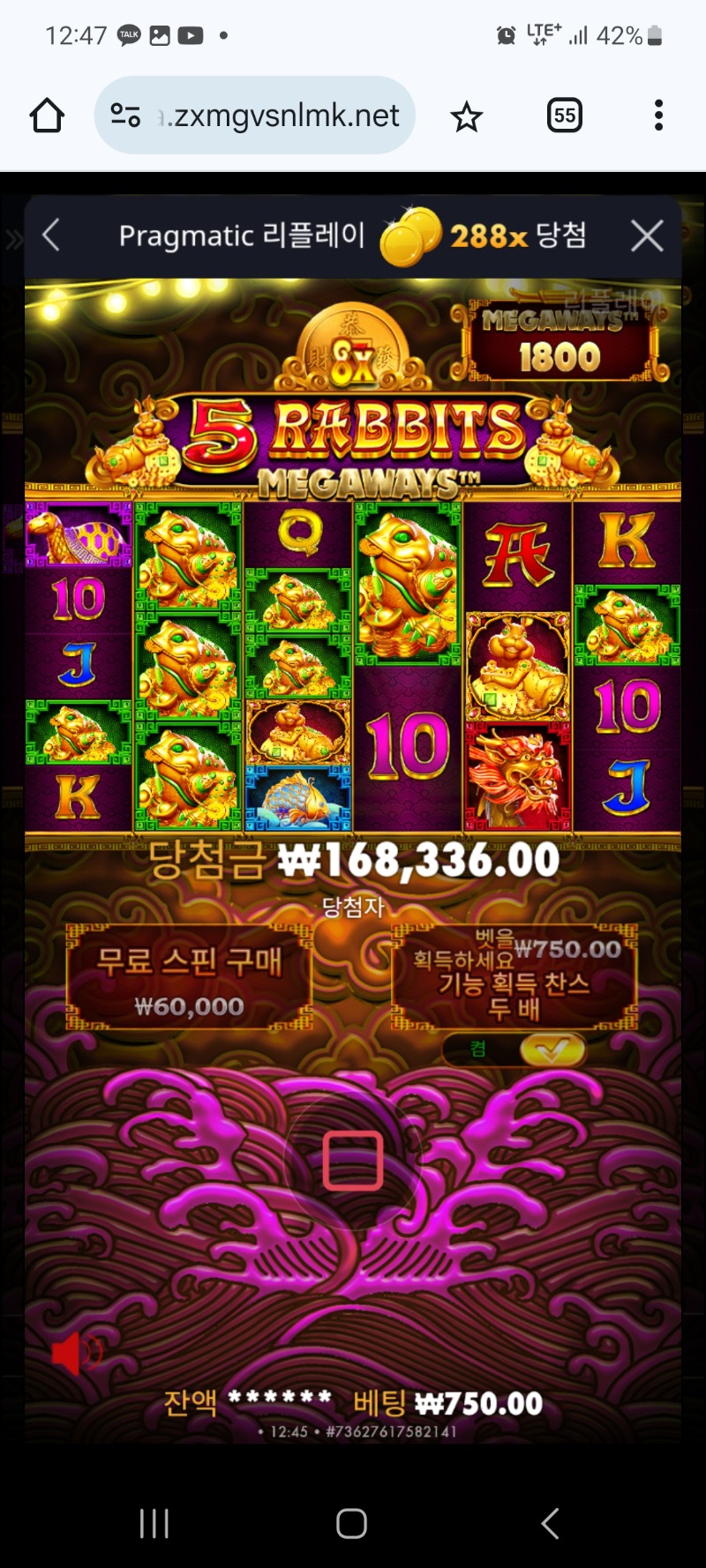 토라매 두꺼비바닥한방 8곱288배