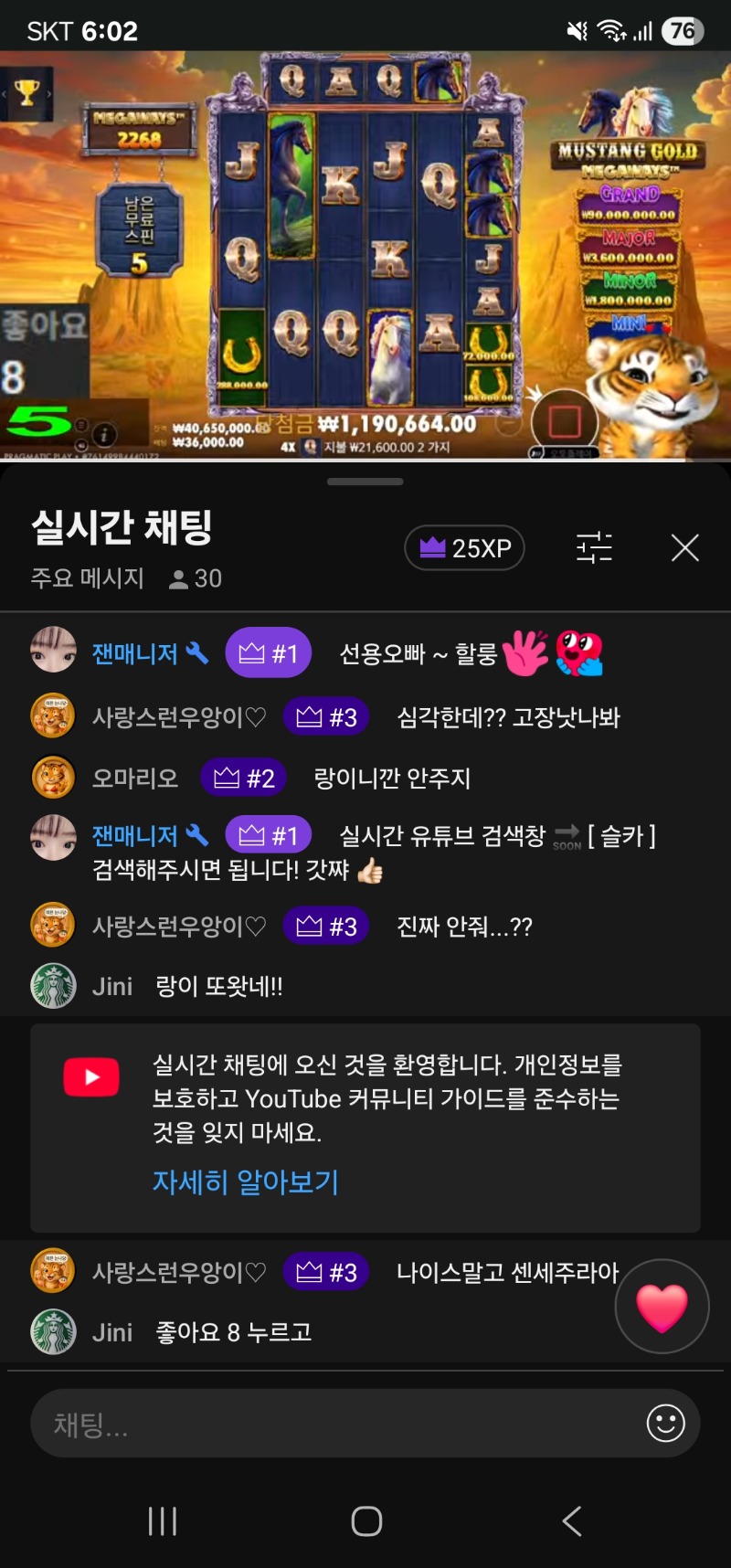 랑이가 2번째 방송 시작햇읍니다