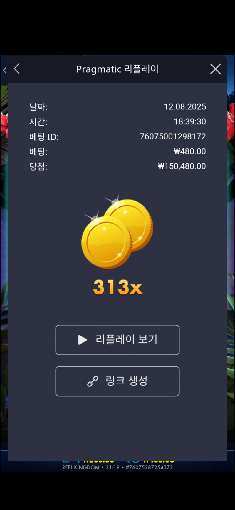 트로피카나 313배