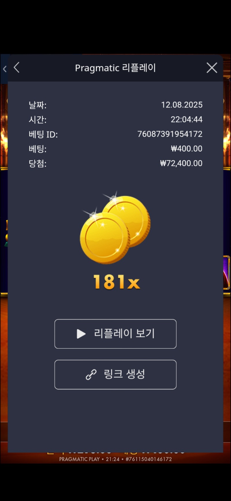이집트 클래식 181배