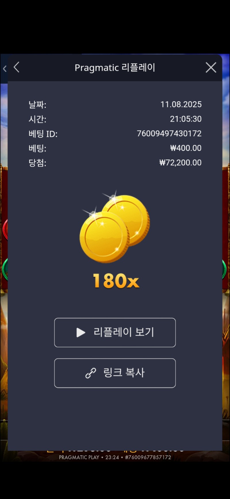 머스탱 트레일 180배