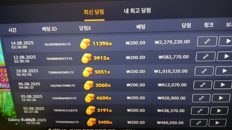 멀린11396배