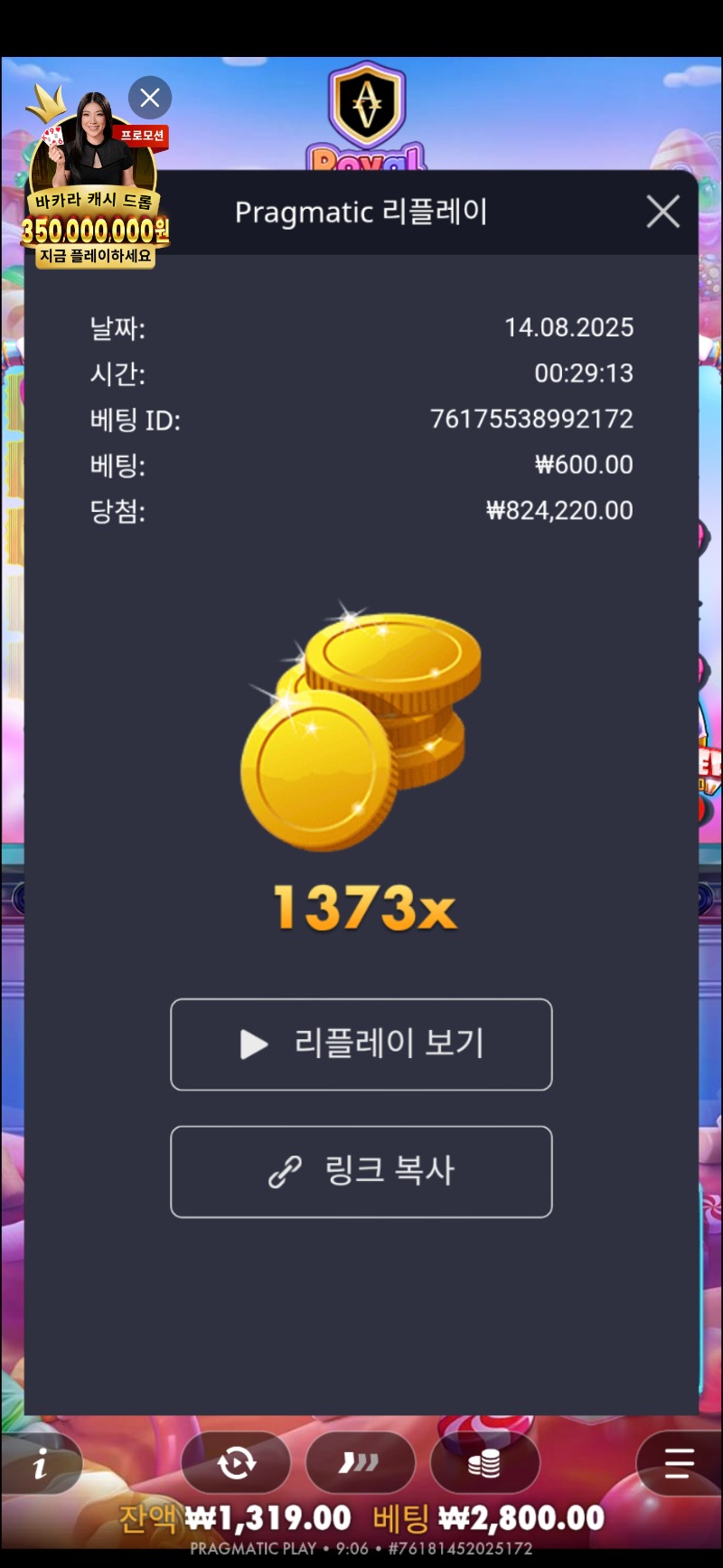로얄 슈가1000 1373배