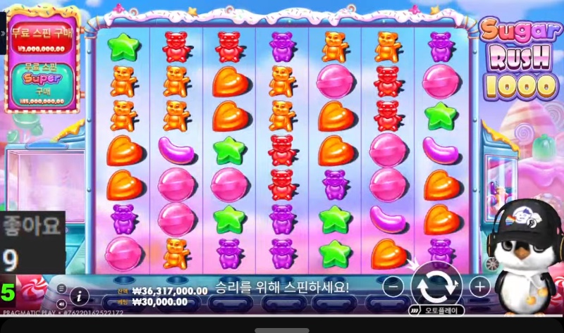펭그루~~방송 시작~~