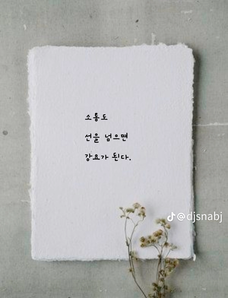 굿밤~선 넘의면  안 되는 이유!!