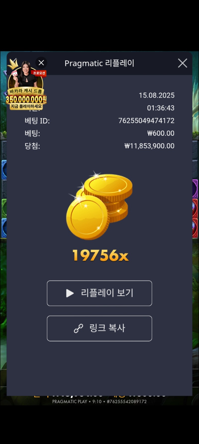 멀린19760