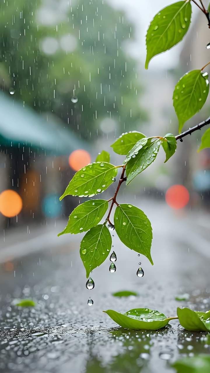 굿몽~오늘도 즐거운 하루 보내세요전부!!