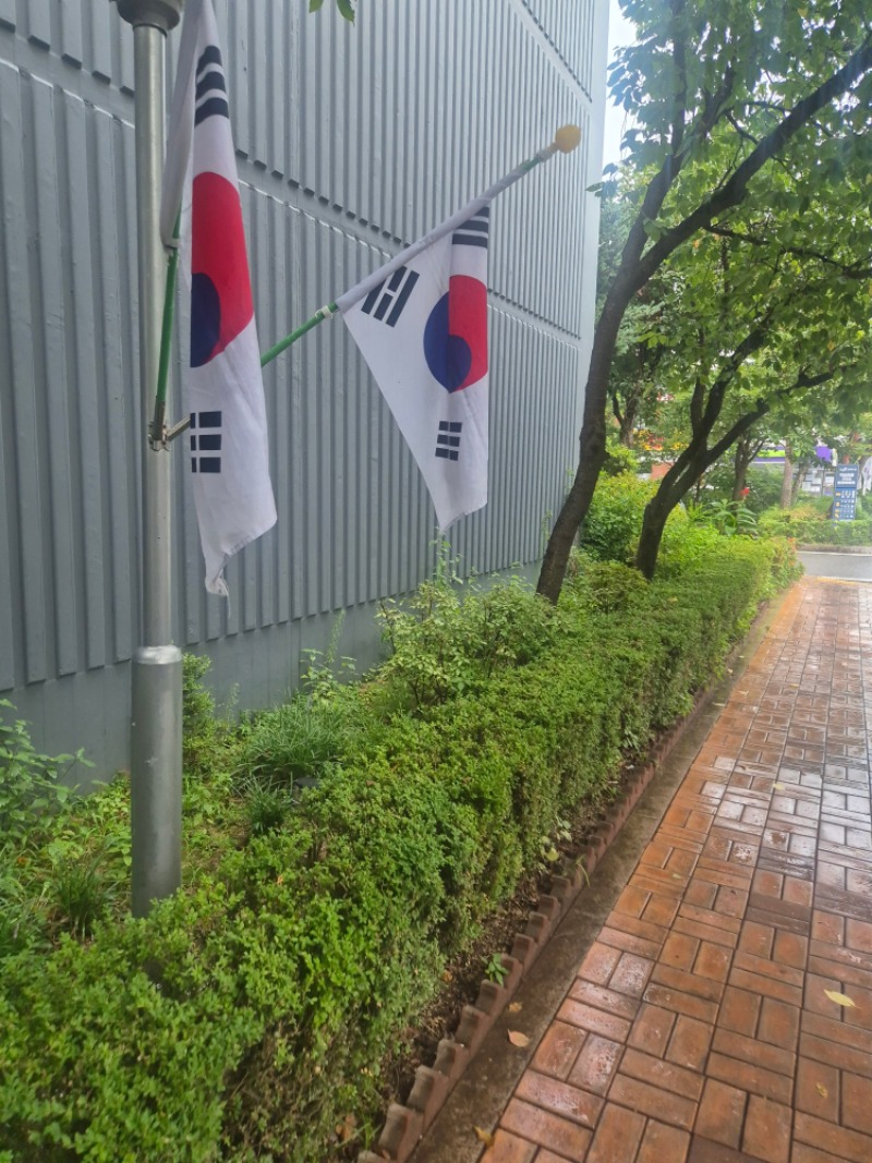 태극기 게양인증