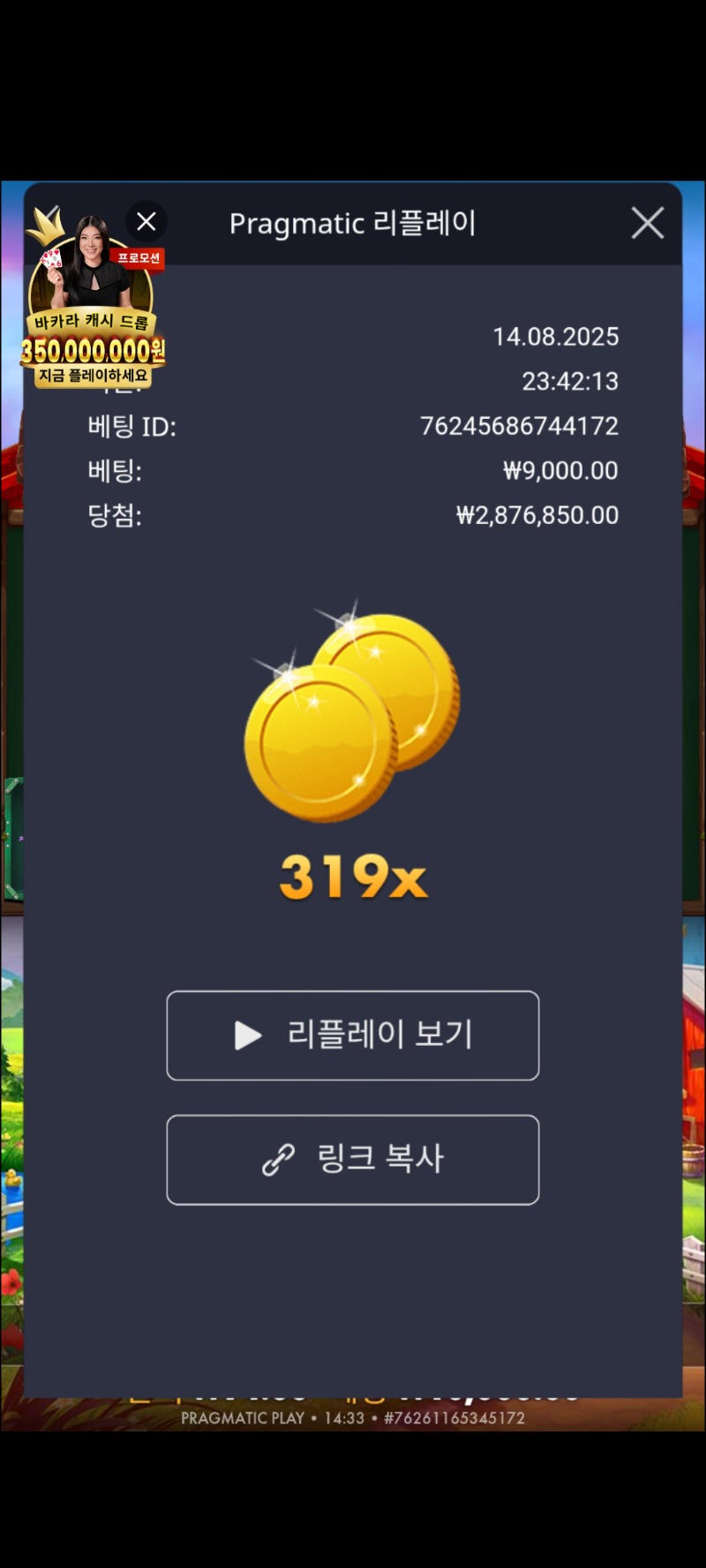 닭집