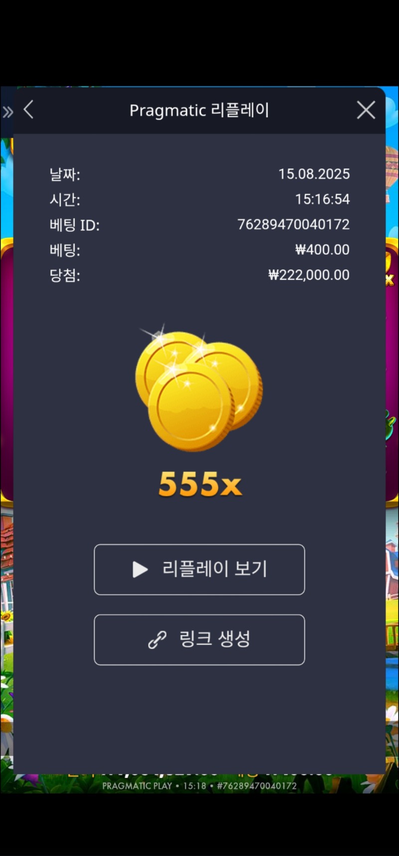황금삽555배