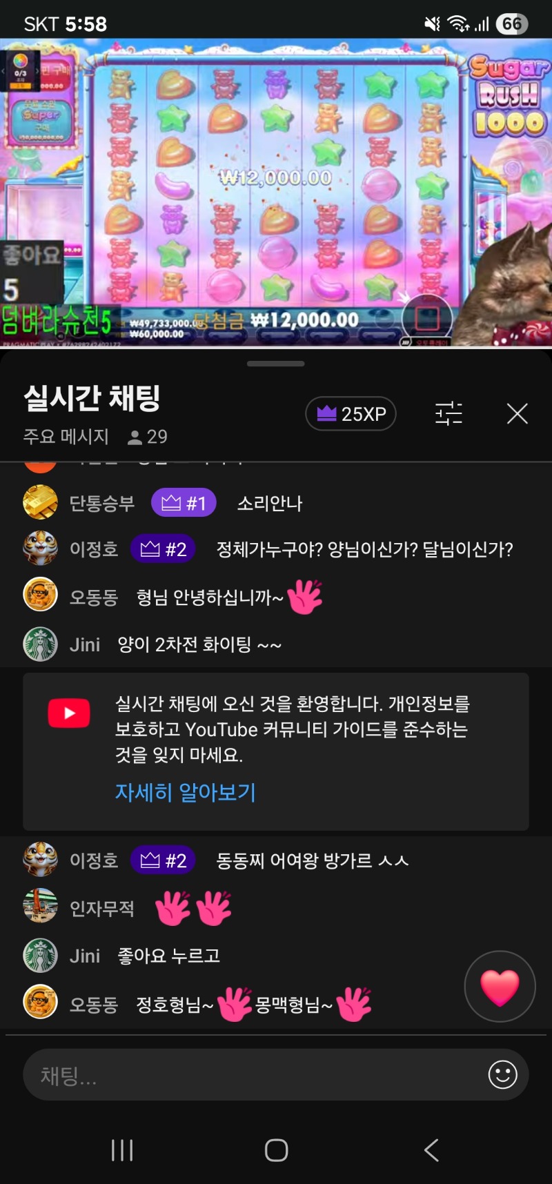 양이 2차전 방송 시작햇읍니다 ~~