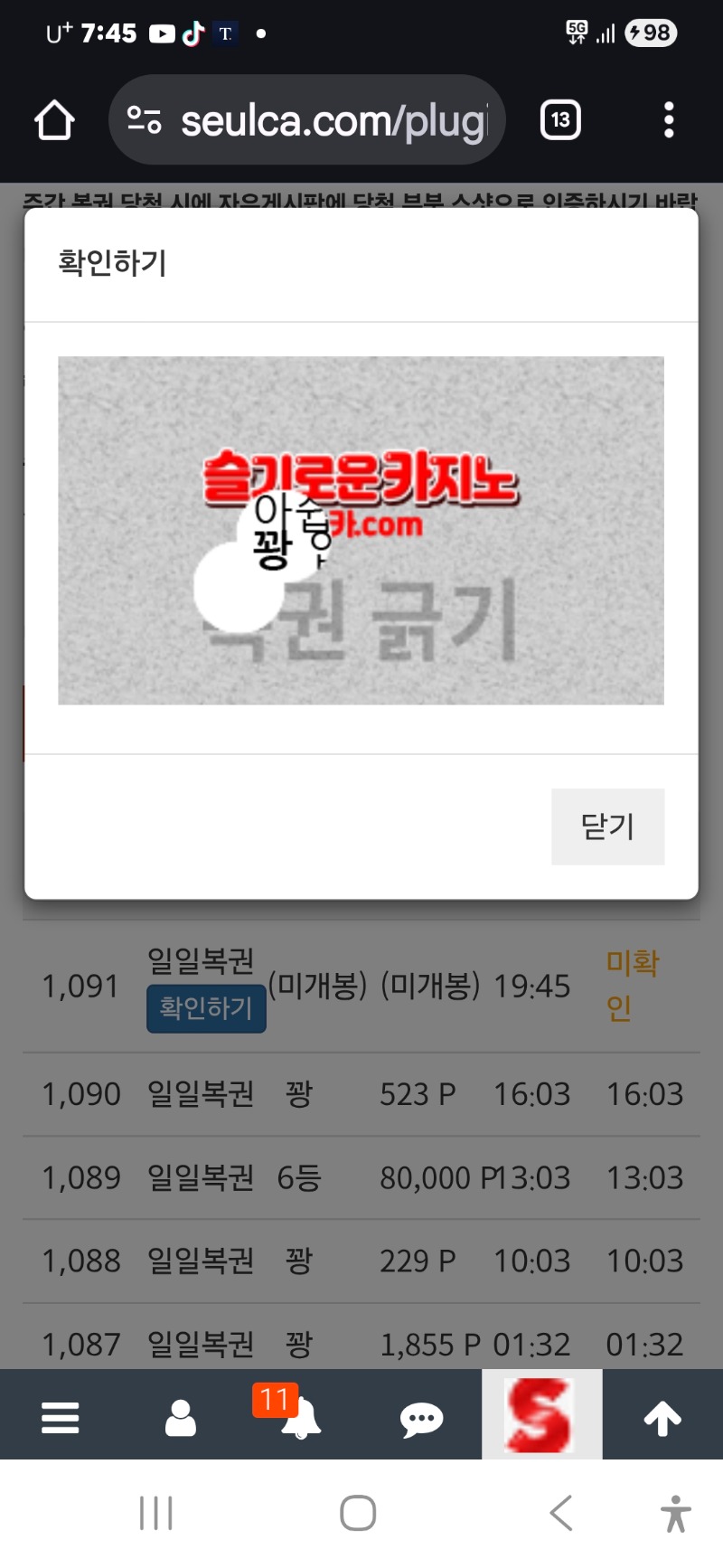 저녁일보기 꽝