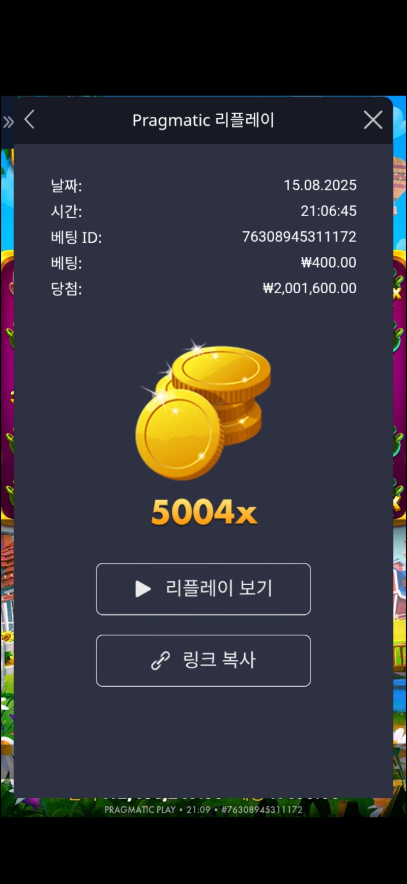 황금멀티
