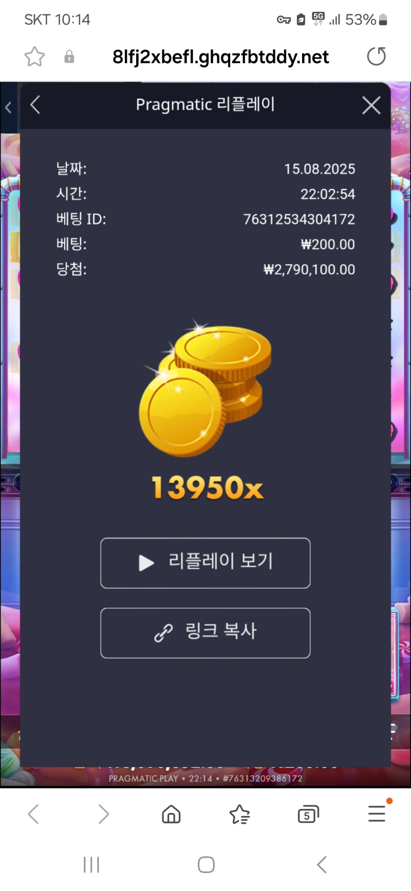 배당왕신청
