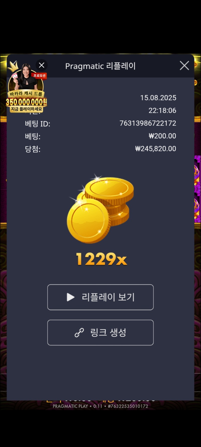 토라매 1229배