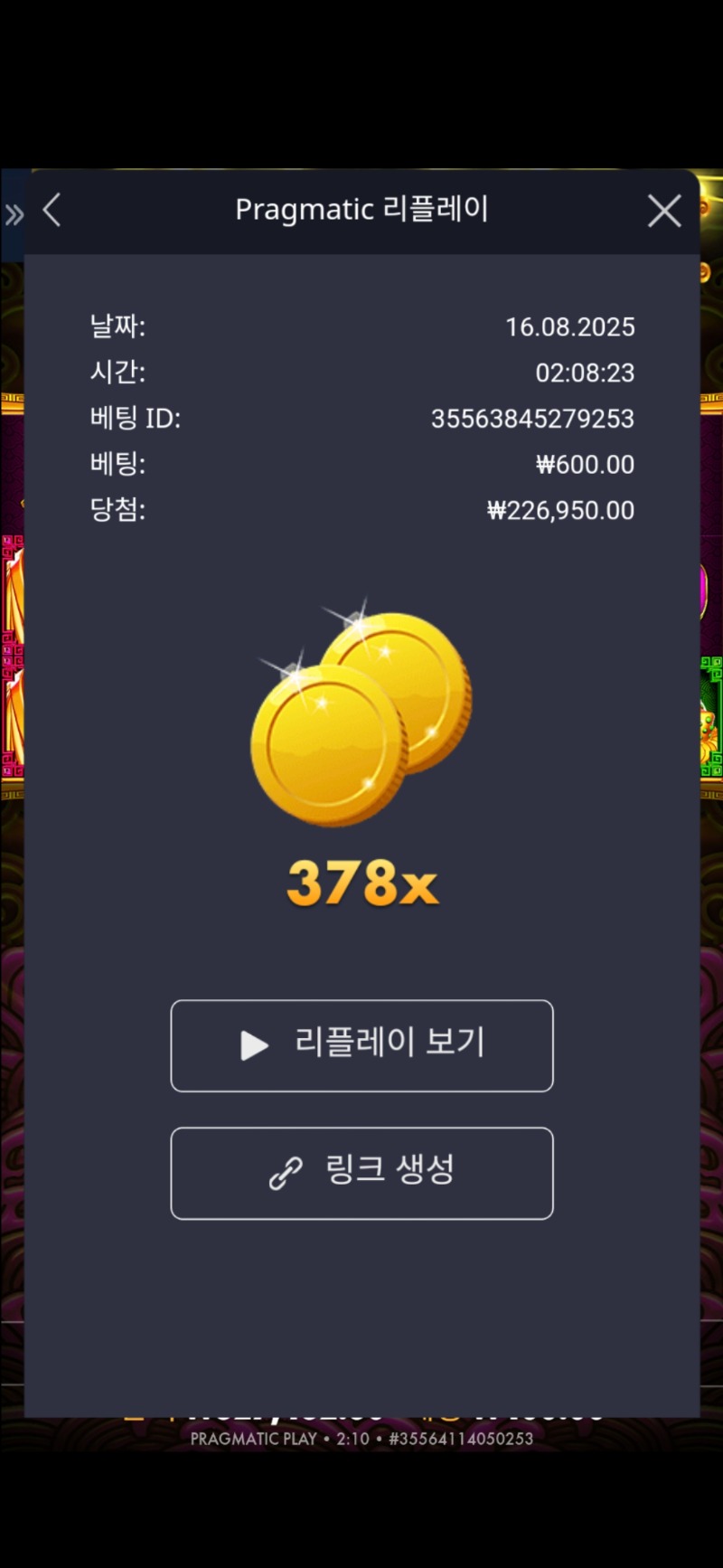 주배 토라메 378배