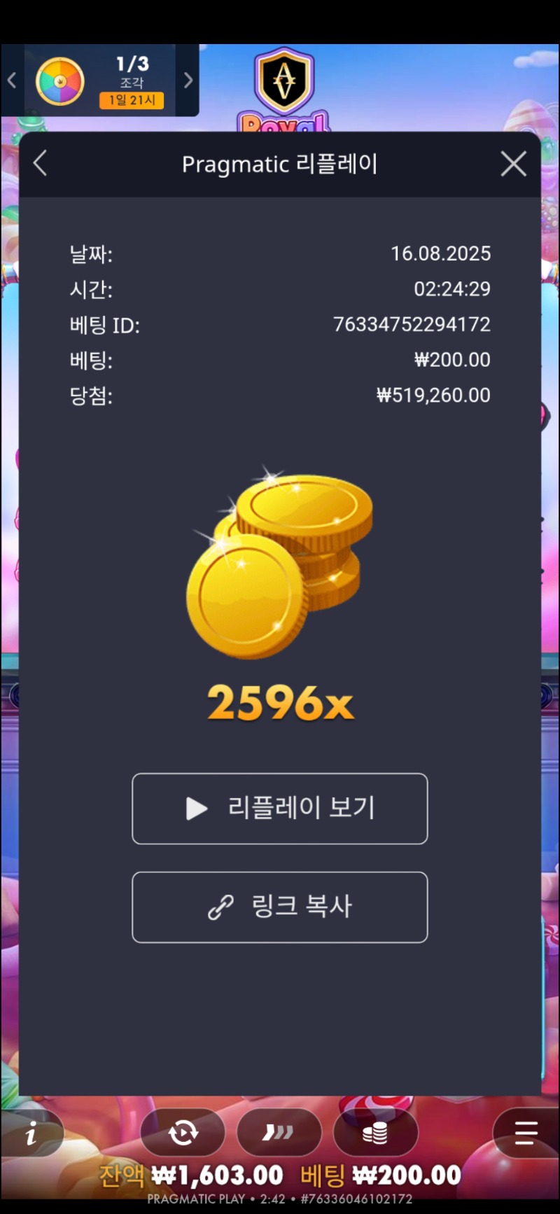 로얄 슈가1000 2596배
