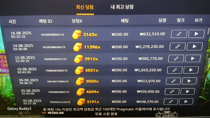 멀린3162배