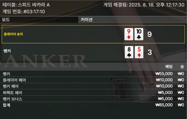 바카라 패1