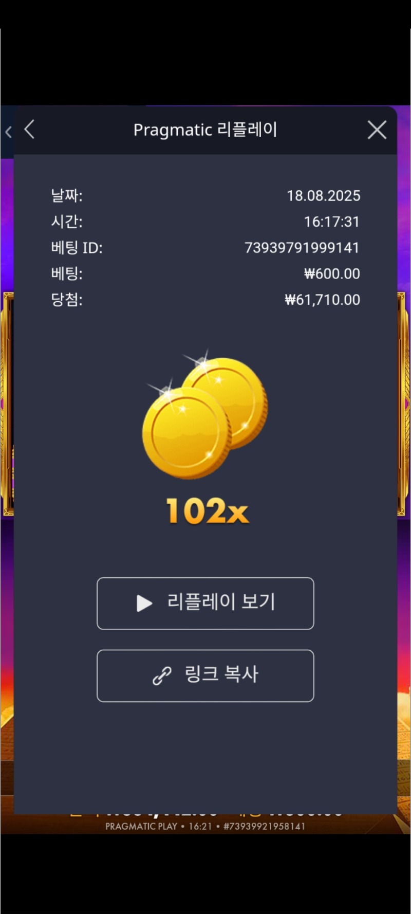 포춘오브기자102배