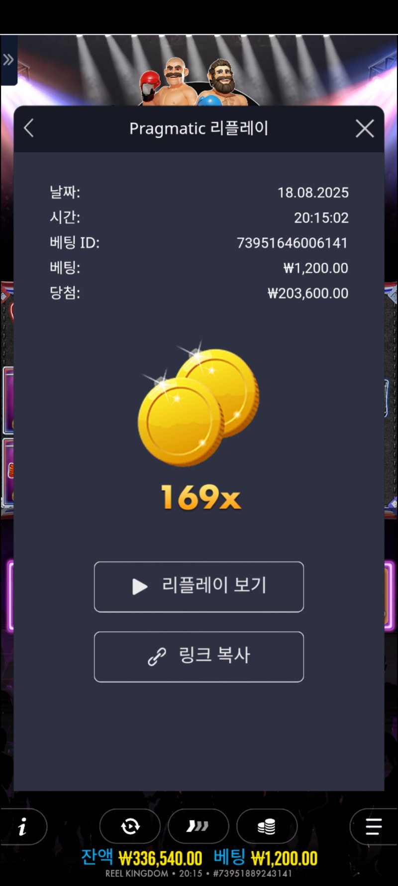 빅베스 복싱 169배