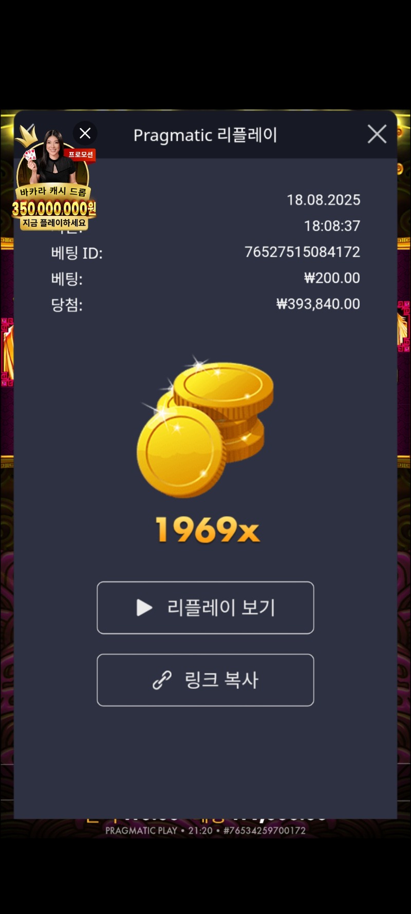 토라매 1969배