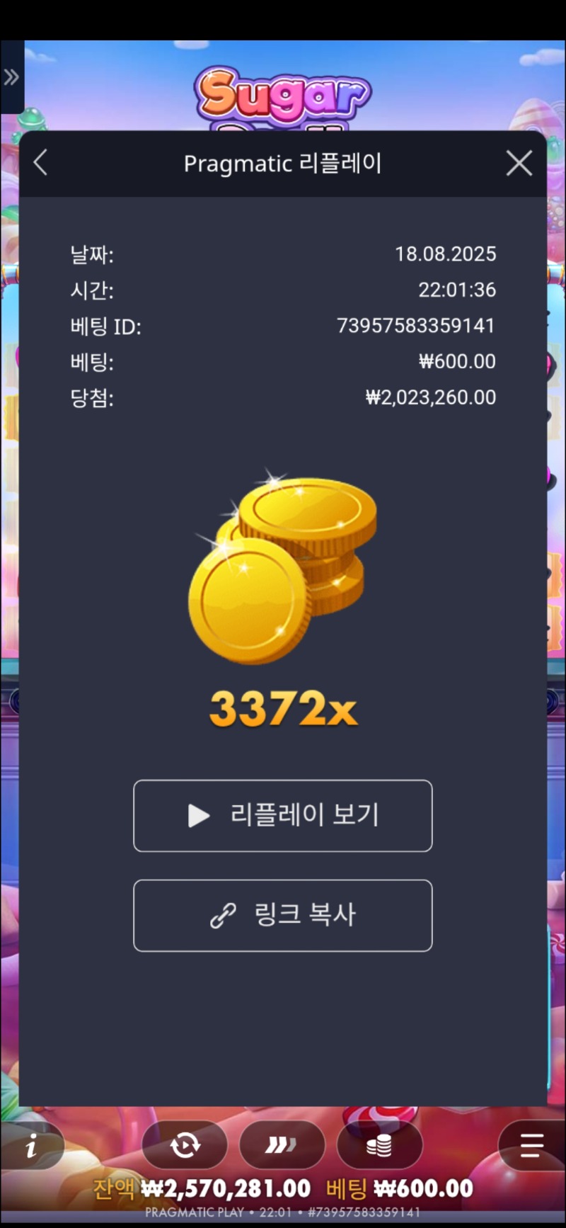 슈천 3372배
