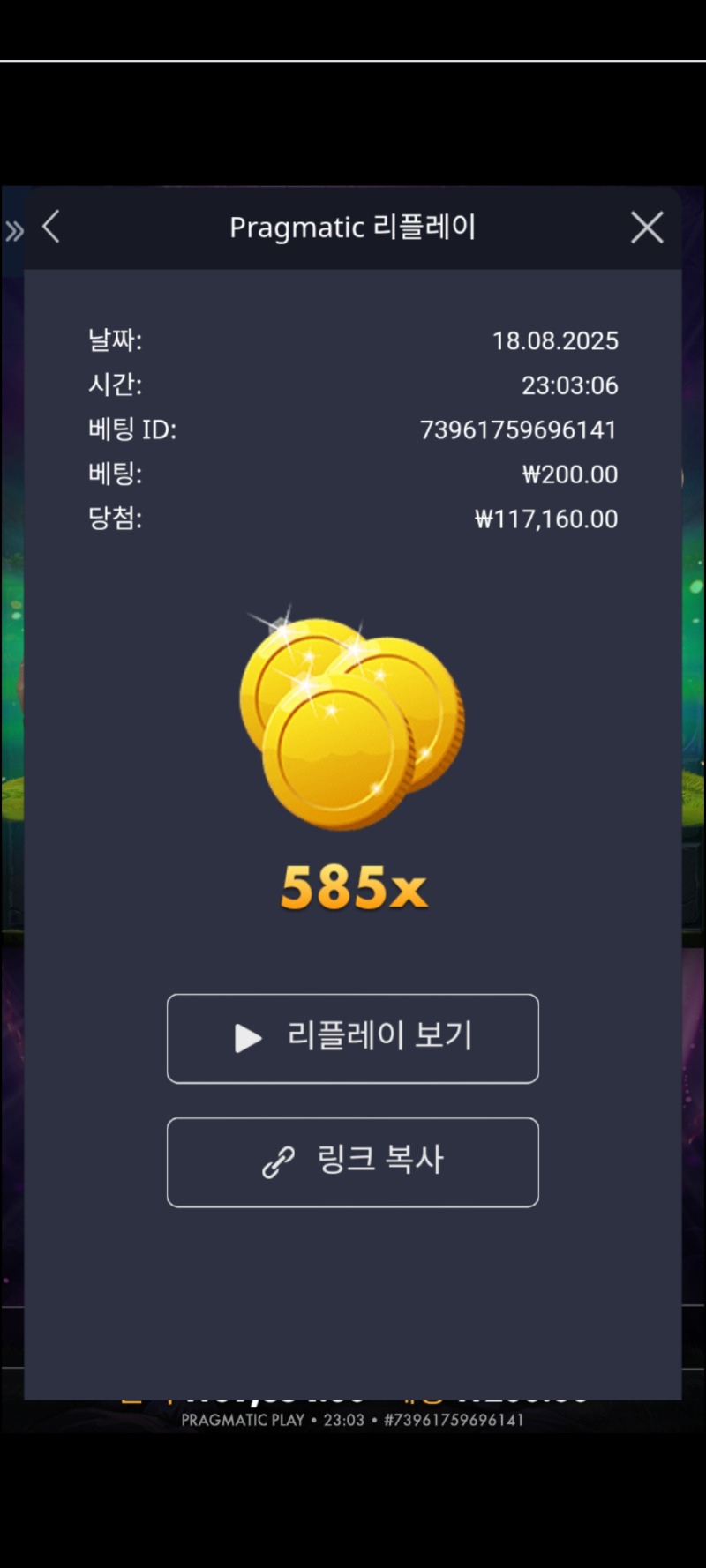 멀린 585배