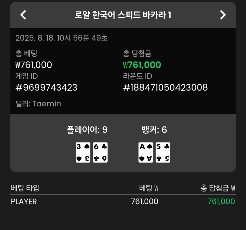 바카라 플레이어 9로 승